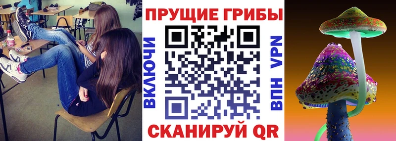 Галлюциногенные грибы MAGIC MUSHROOMS  где купить наркотик  Учалы 